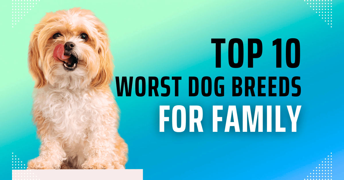 Top 10 Worst Dog Breeds for Families 2024