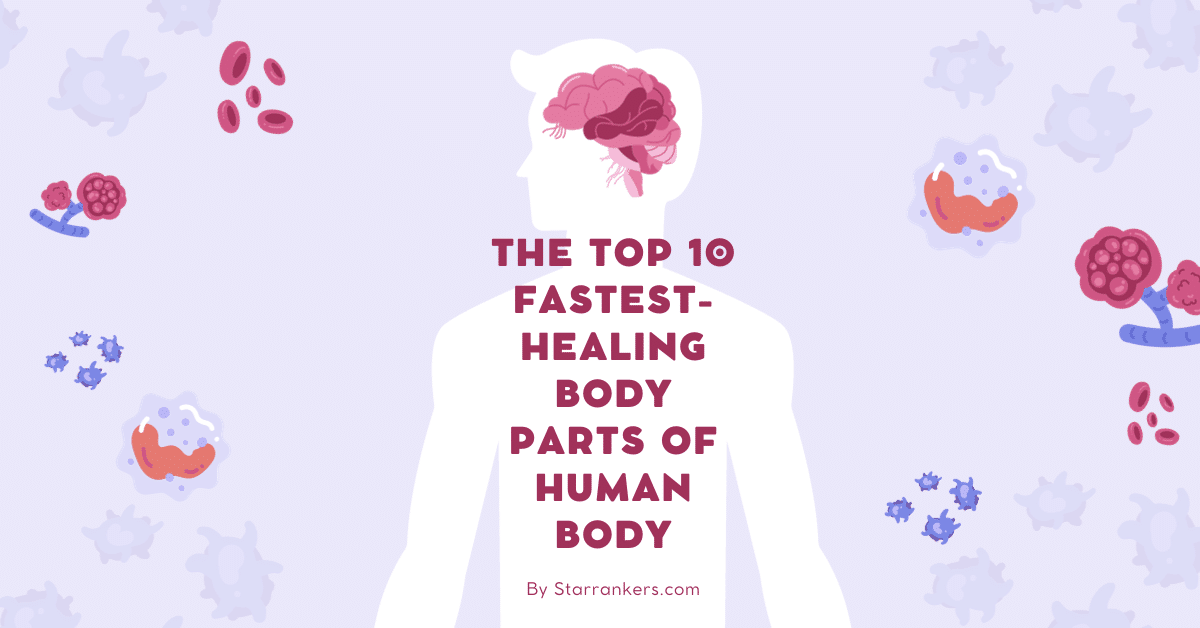 Top 10 Fastest-healing body parts of human body